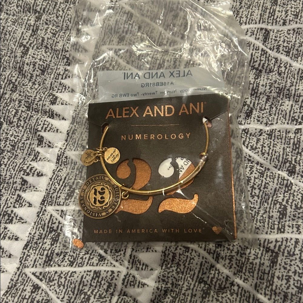 Alex and Ani numerology number 22 charm bracelet brand new in packaging